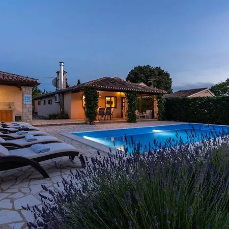 Holiday home Mainenti Visnjan