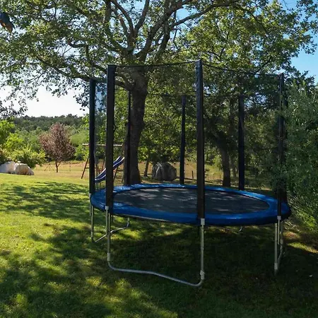 Mainenti Holiday home Visnjan